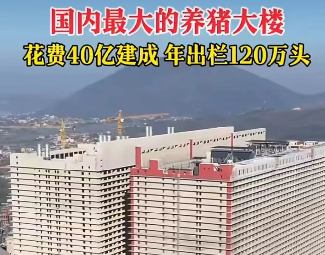 1716608498346688.png image.png