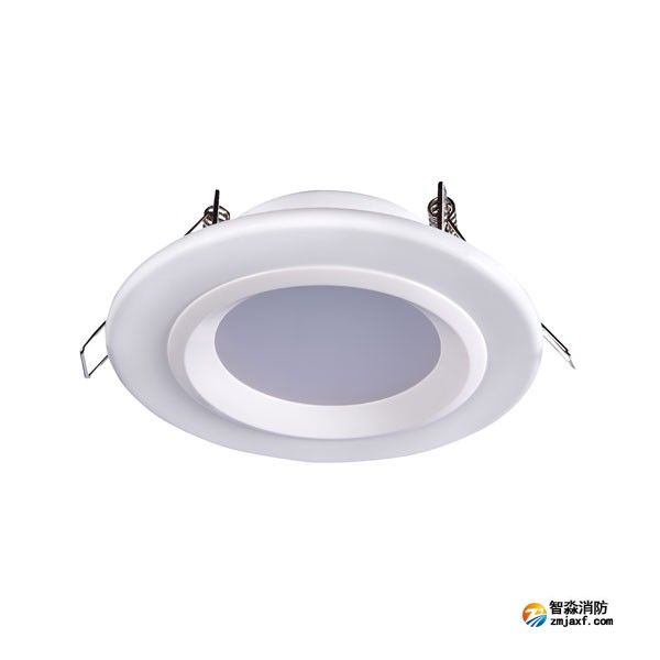 云南海灣HW-ZFJC-E6W-N621集中電源集中控制型消防應(yīng)急照明燈具