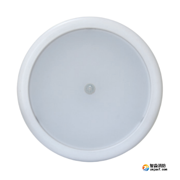 云南海灣HW-ZFJC-E6W-N656HW集中電源集中控制型消防應(yīng)急照明燈具