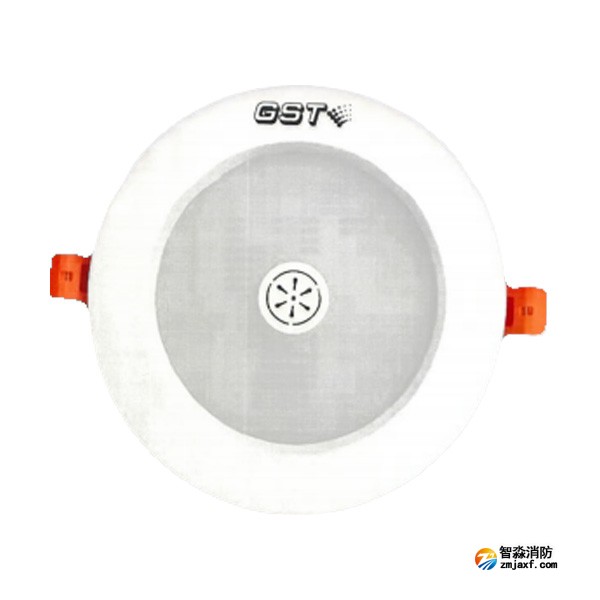 云南海灣HW-ZFJC-E6W-N651SG集中電源集中控制型消防應(yīng)急照明燈具