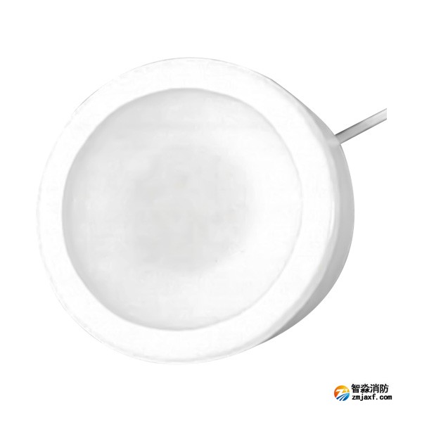 云南海灣HW-ZFJC-E6W-YN651C集中電源集中控制型消防應(yīng)急照明燈具