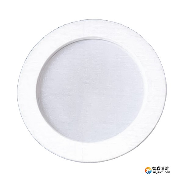 云南海灣SJ-ZFJC-E5W/ZQ5C集中電源集中控制型消防應(yīng)急照明燈具 吸頂/壁掛